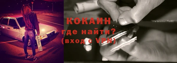 винт Алзамай