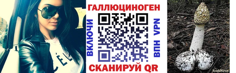Галлюциногенные грибы Cubensis  Ставрополь 