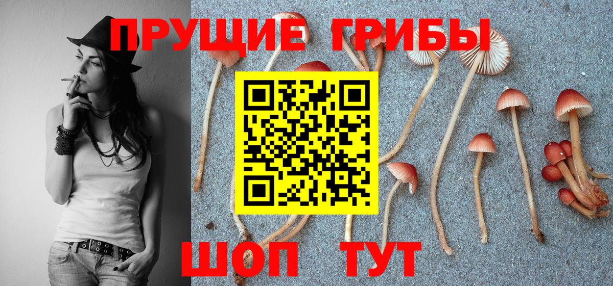 Галлюциногенные грибы прущие грибы  Вход с VPN  закладки  Ставрополь 